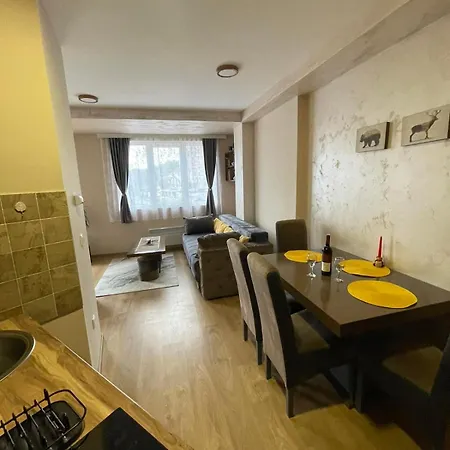Black Bear Apartment Zlatibor Dış mekan fotoğraf