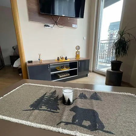 Black Bear Apartment Zlatibor Dış mekan fotoğraf
